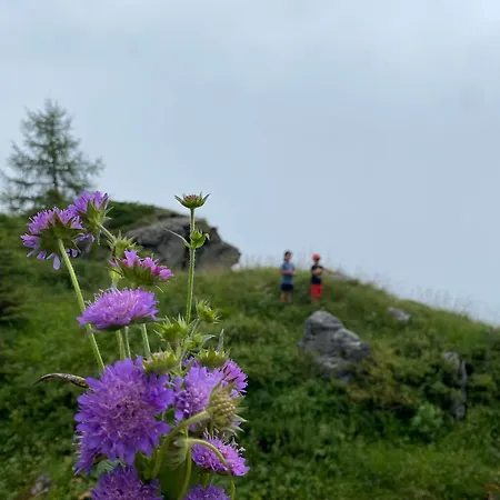 Alpesi faház Schroeckhuette Bad Hofgastein