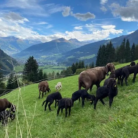 Alpesi faház Schroeckhuette Bad Hofgastein