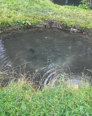 Alpesi faház Schroeckhuette *